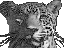 Sistema Jaguar