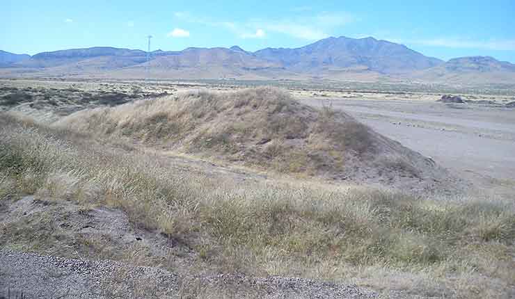 Uso del Suelo